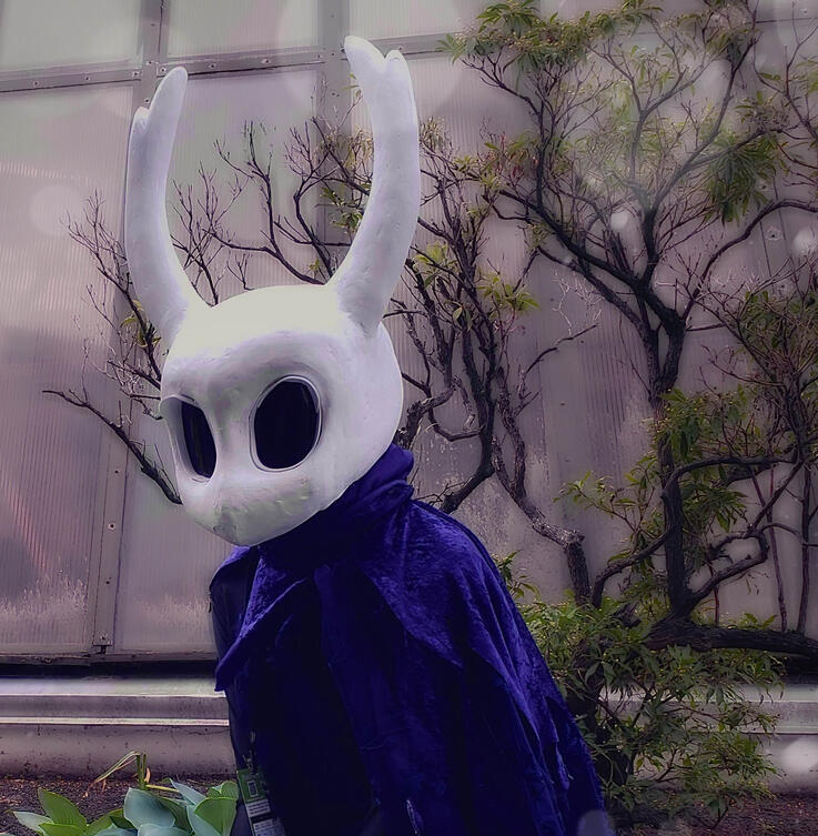 Hollow Knight Vessel